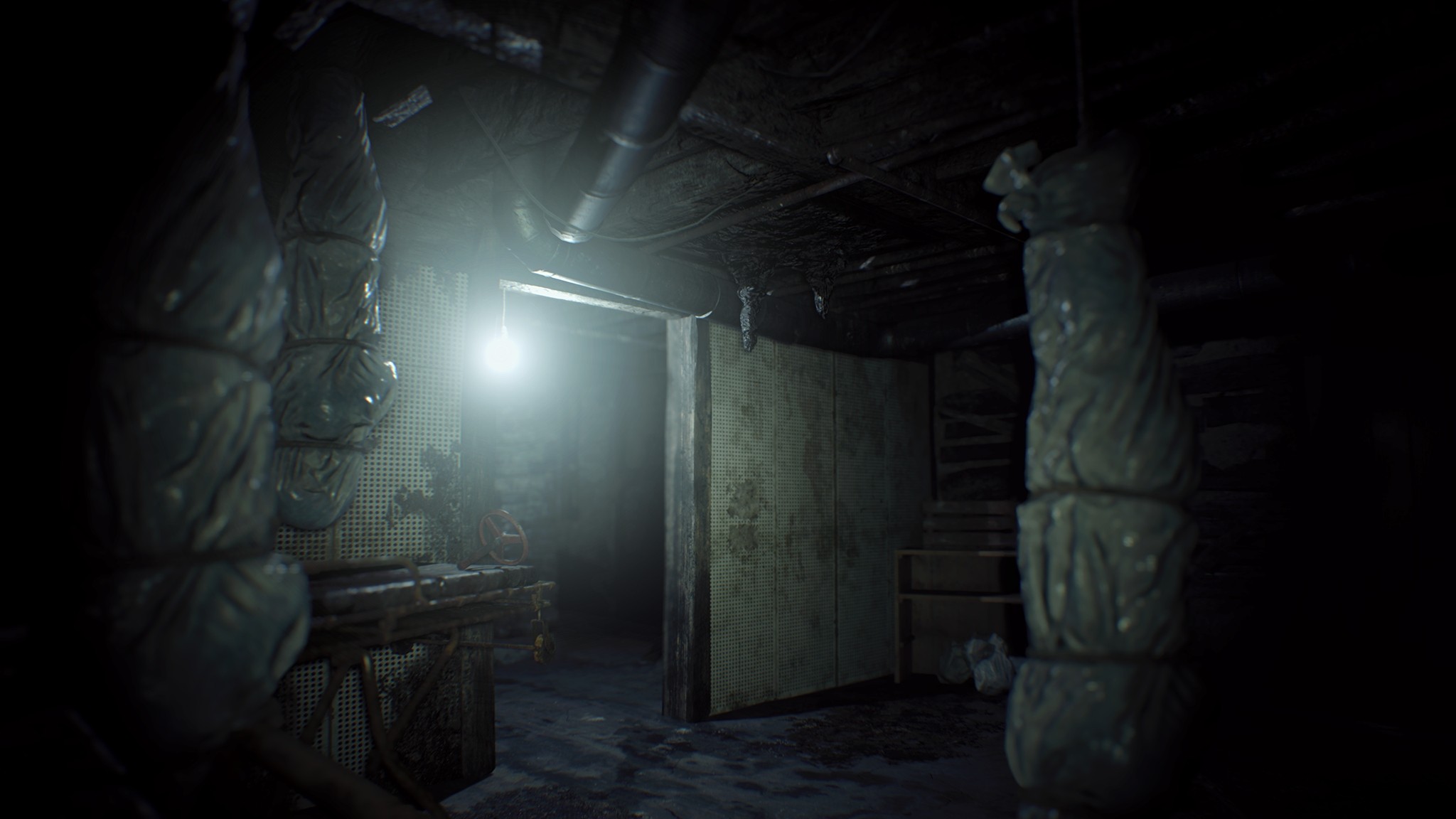 Resident Evil 7 biohazard - Imagen 22